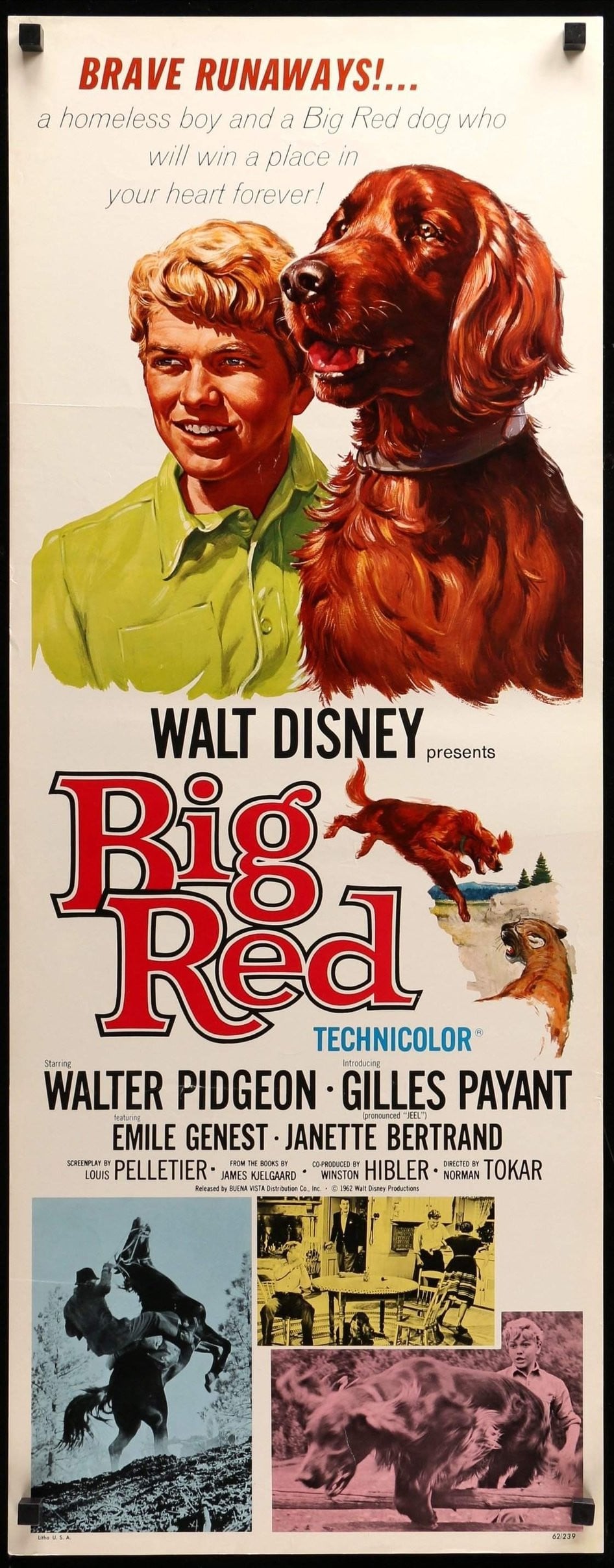 Big Red (1962) original movie poster for sale at Original Film Art