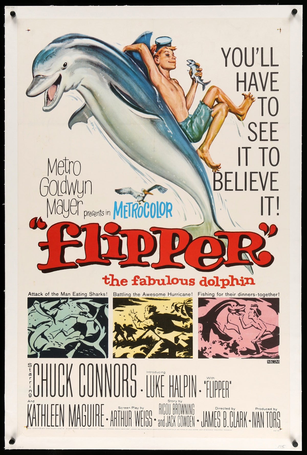 Flipper (1963) original movie poster for sale at Original Film Art