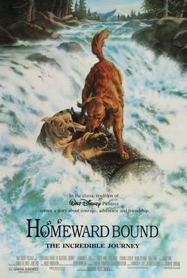Homeward Bound: The Incredible Journey (1993) original movie poster for sale at Original Film Art - Vintage Movie Posters