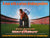 Waterboy (1998) original movie poster for sale at Original Film Art